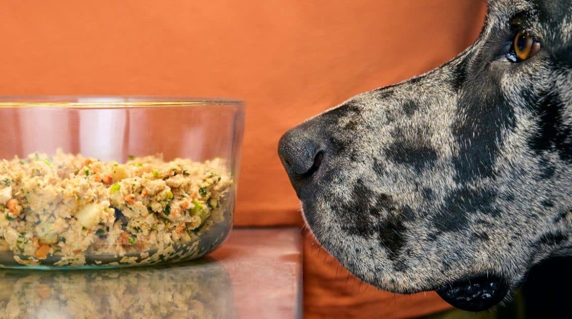 Fresh, Balanced, And Personalized Dog Food: Exploring The Farmer’s Dog