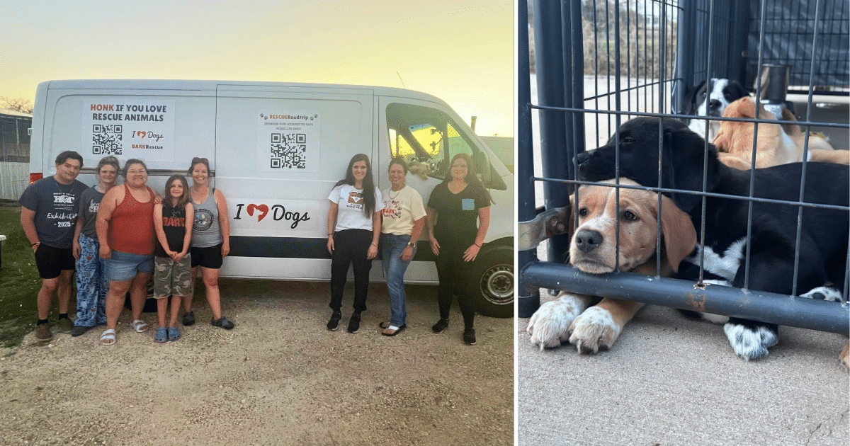 Hero VIP Members Made This Iowa Rescue Road Trip Possible for 25 Dogs in Need