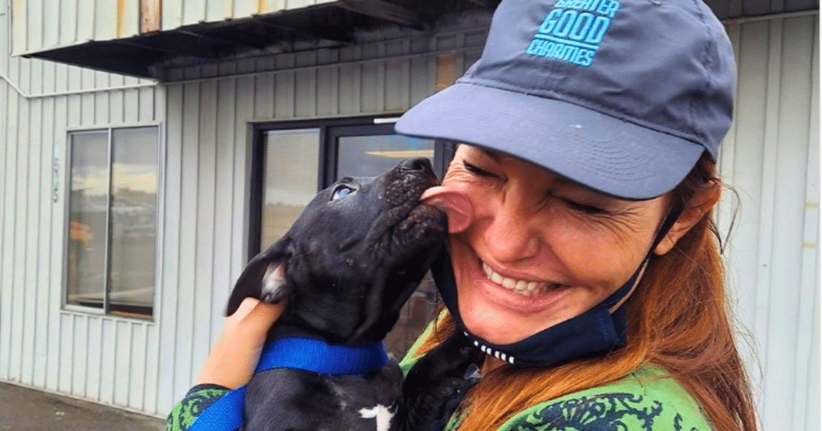 Celebrating 20 Years Of Greater Good Charities & Its Life-Saving Partnership With iHeartDogs