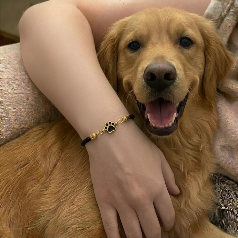 Forever Paw Adjustable Bracelet- Black - Image 2