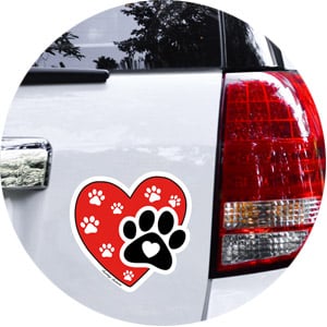 Car Magnets & Accessories Products