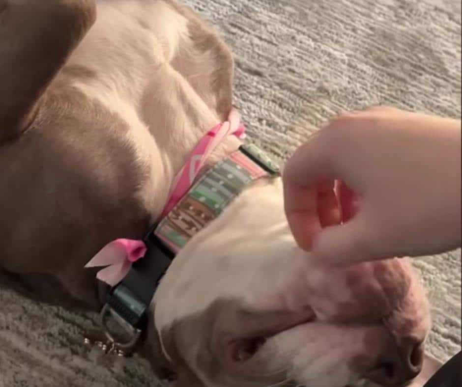 Elsa showing love and trust