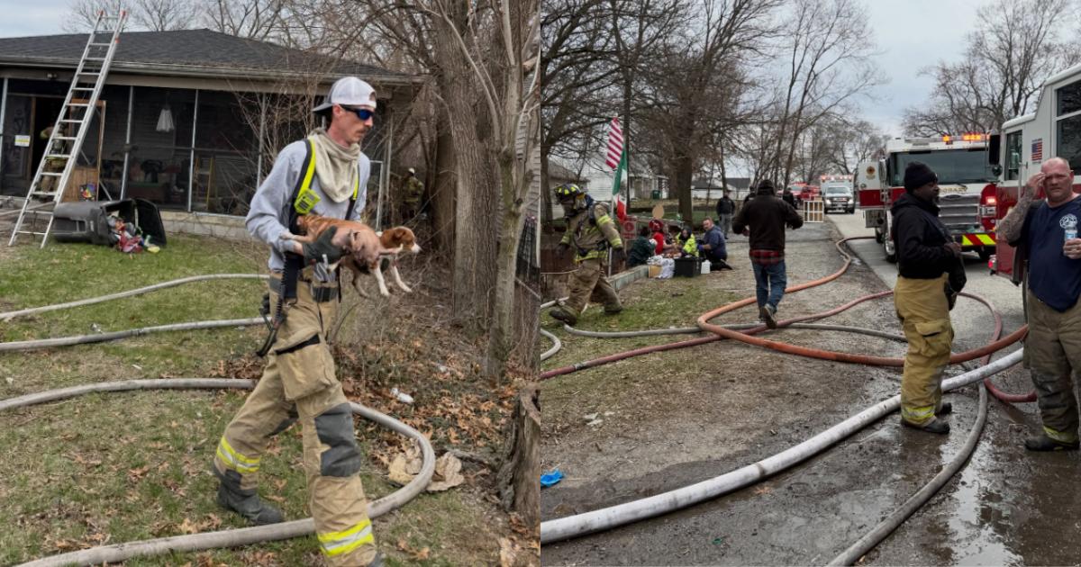 Over 40 Dogs Rescued From Burning Home as Firefighters Race The Flames