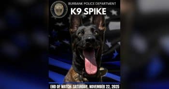 K9 Spike Memorial