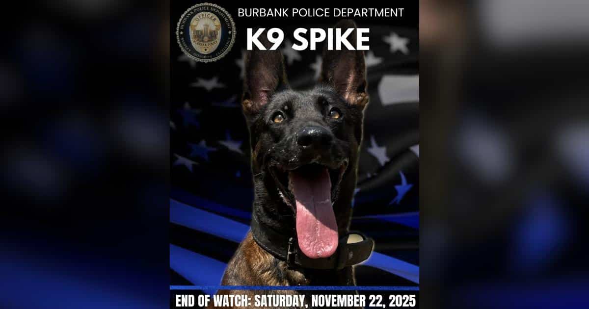 Department Honors K9 Spike After He Gave His Life in the Line of Duty