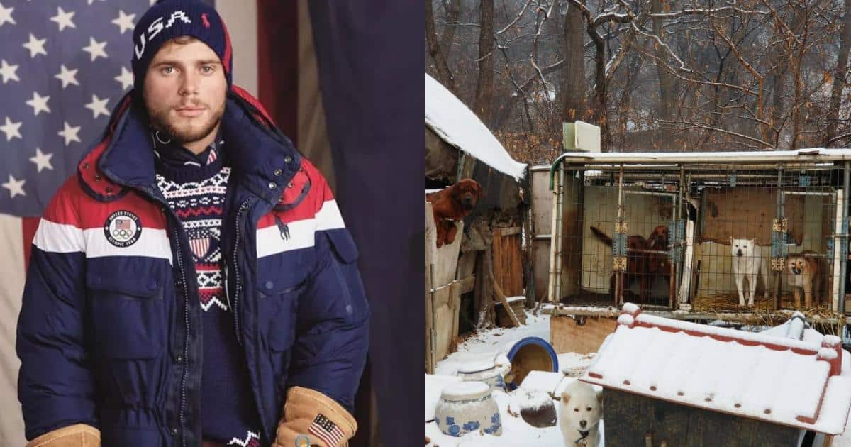 Olympian Becomes Hero After Rescuing 90 Dogs From Dog Meat Farm