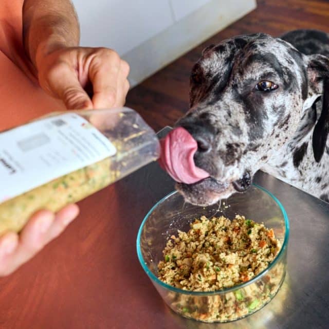 Great Dane licking its lips as a pack of The Farmer's Dog fresh food is poured into a glass bowl.