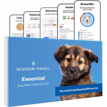 Wisdom Panel Essential Breed Identification DNA Test 