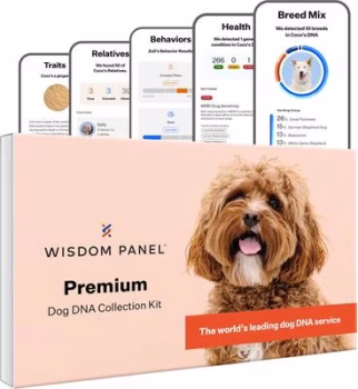 Wisdom Panel Premium Breed Identification & Health Condition Identification DNA Test f