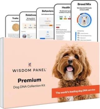 Wisdom Panel Premium Breed Identification & Health Condition Identification DNA Test