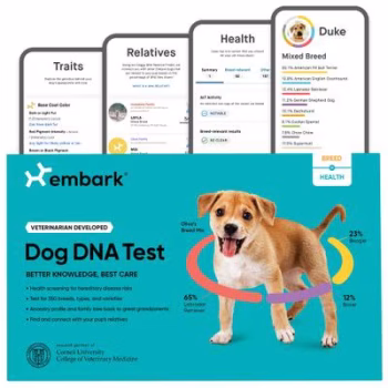 Embark Breed & Health Dog DNA Test Kit