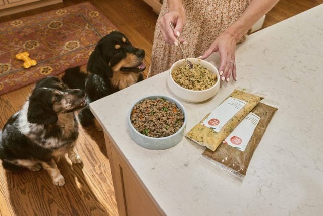 Woman spooning fresh dog food from pre-portioned Farmer's Dog packs into two bowls while two dogs watch.