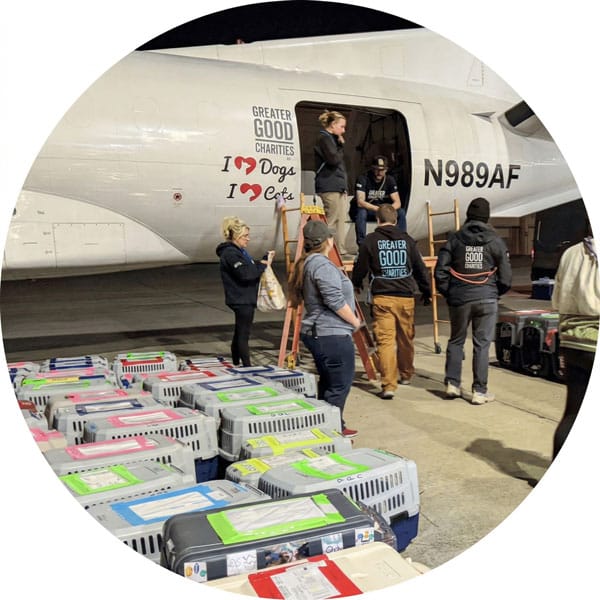 Success Stories Products