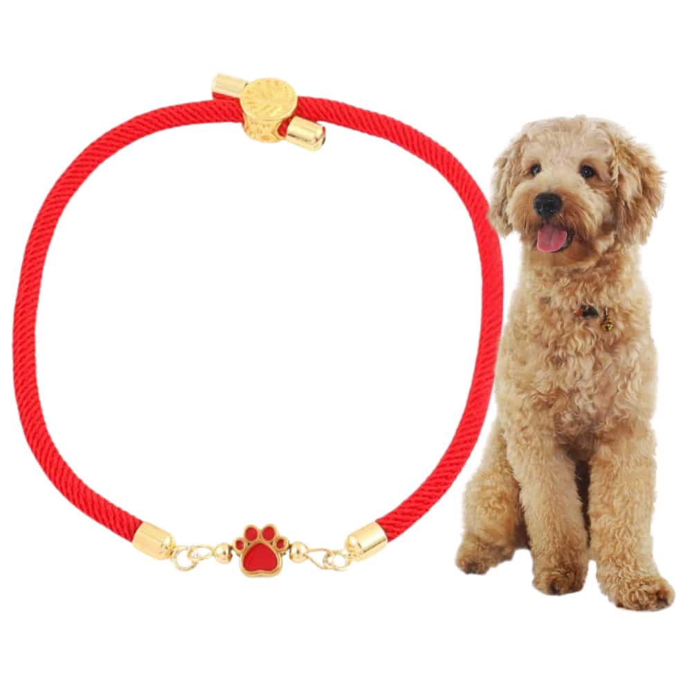 Forever Paw Adjustable Bracelet- Red