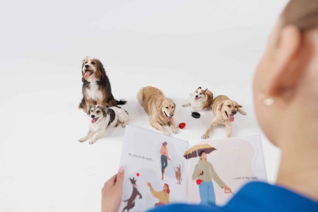 A PetSmart employee reads to the dogs at Doggy Day Camp