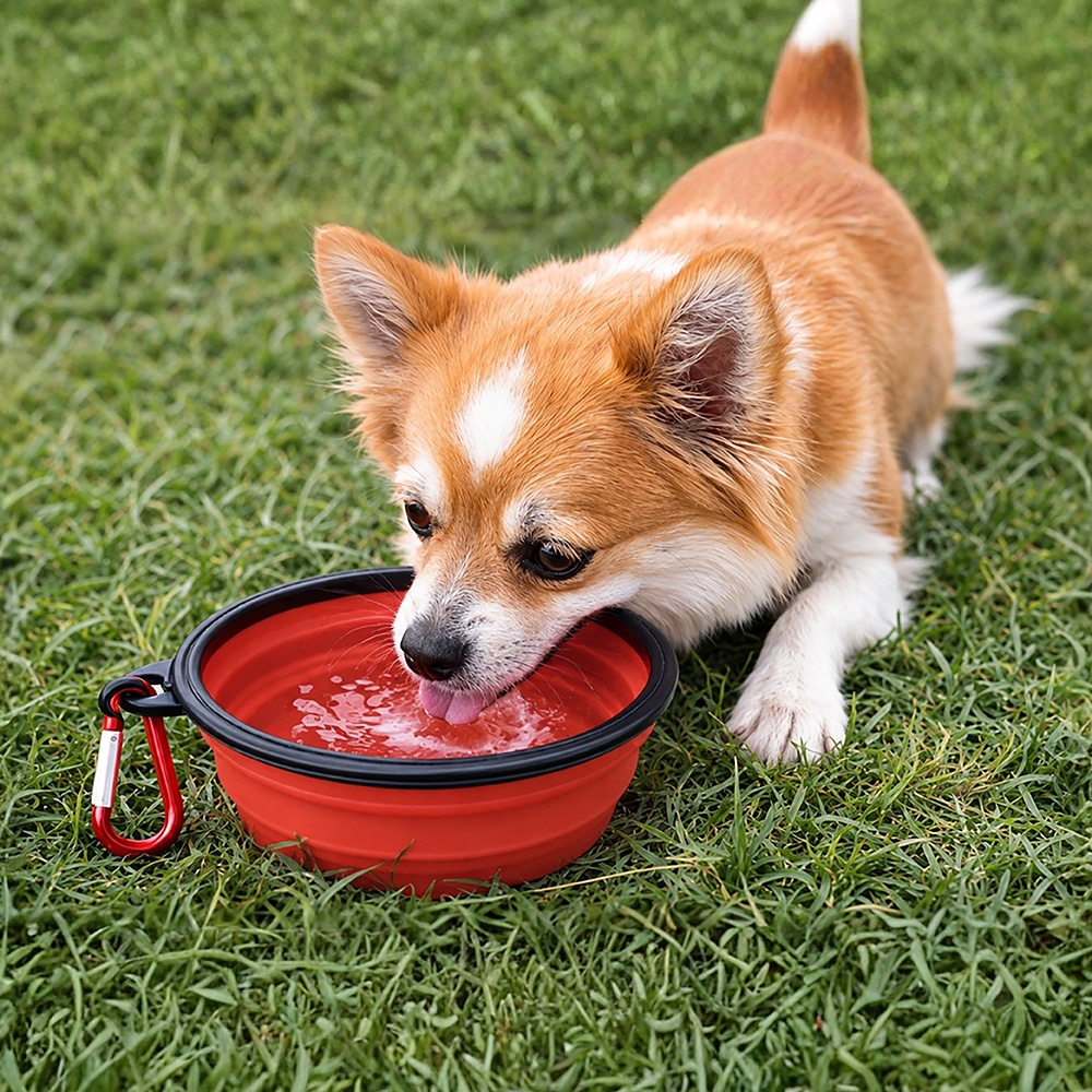 Red Silicone Collapsible Travel Bowl - Image 3