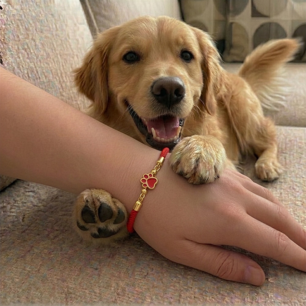 Forever Paw Adjustable Bracelet- Red - Image 4