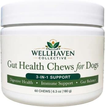 Wellhaven Collective Gut Health Chew for Dogs