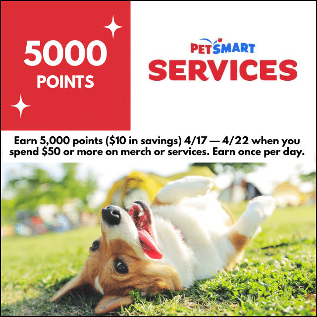 Earn 5000 points when you spend $50 or more n merch or services.