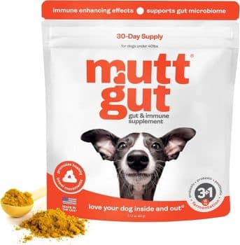 All-Natural 3-in-1 Dog Probiotic, Prebiotic, and Postbiotic Supplement Powder 