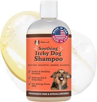 Natural Dog Company Itchy Dog Shampoo for Dogs