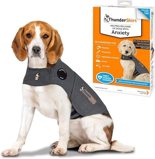 15 Best Dog Anxiety Relief Products (2026): Calming Chews, Vests & More ...