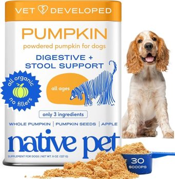 Native Pet Pumpkin for Dogs - Organic Dog Food Topper Powder 