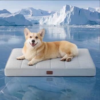 Bedsure Orthopedic Cooling Dog Bed