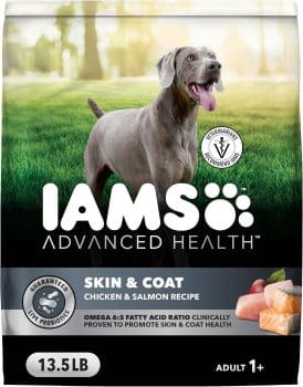 IAMS Advanced Health Skin & Coat Dry Dog Food