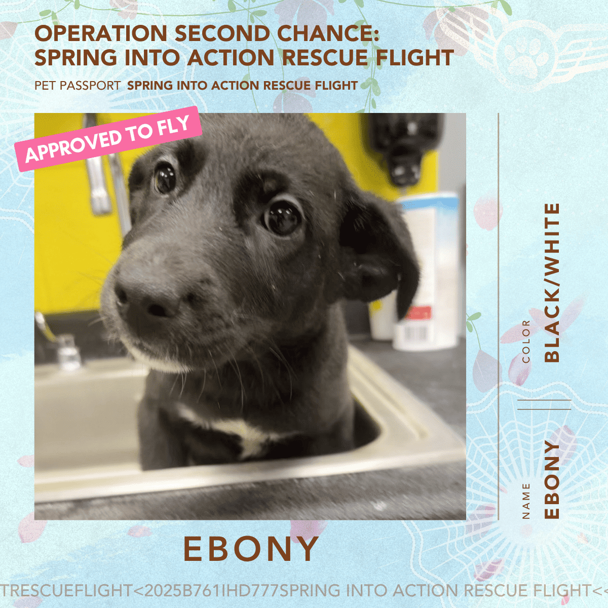 April 2026 Rescue Flight Pet Passports - Ebony