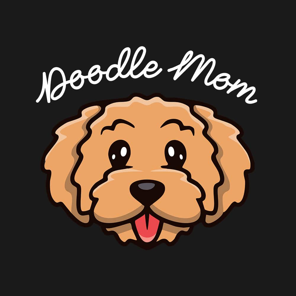 Secondary Product Image