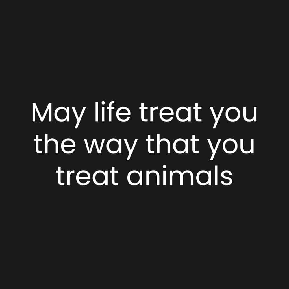 Secondary Product Image