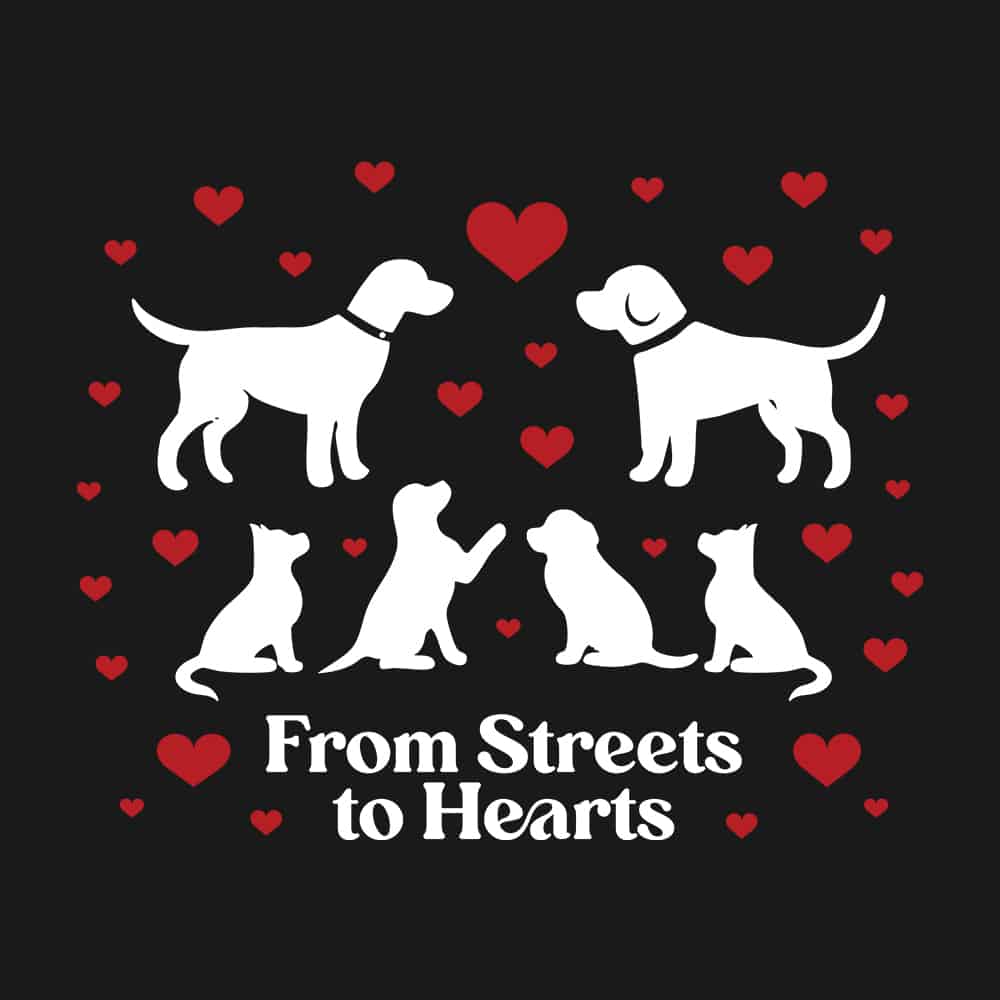 From Streets To Hearts Standard Tee Black - Image 2