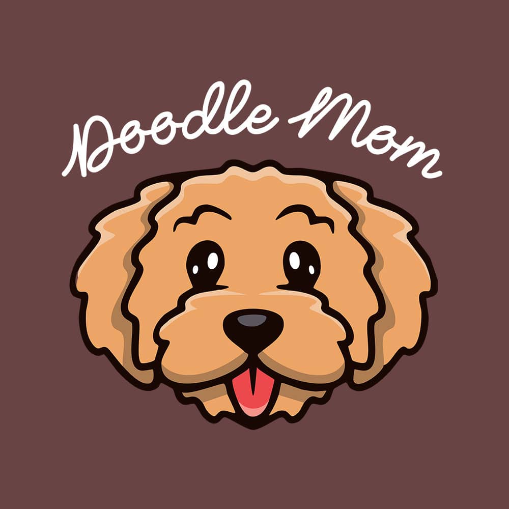 Secondary Product Image