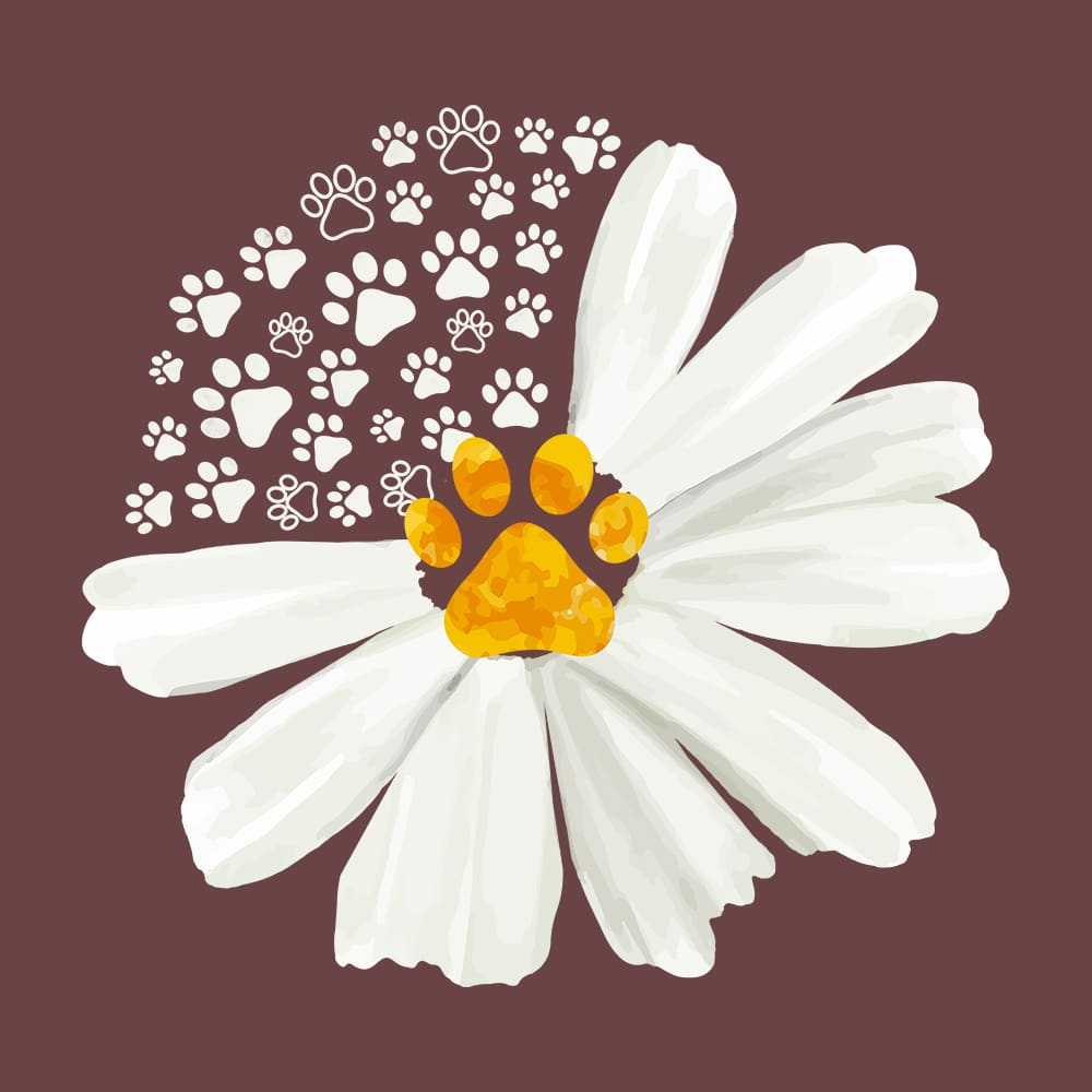 Secondary Product Image