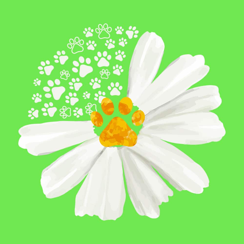 Secondary Product Image