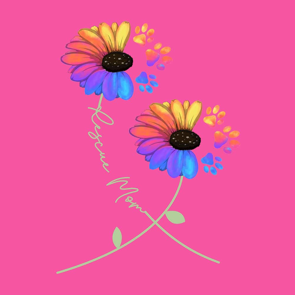 Secondary Product Image