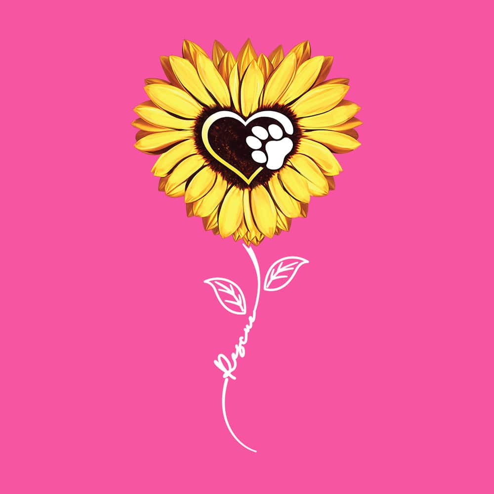 Secondary Product Image