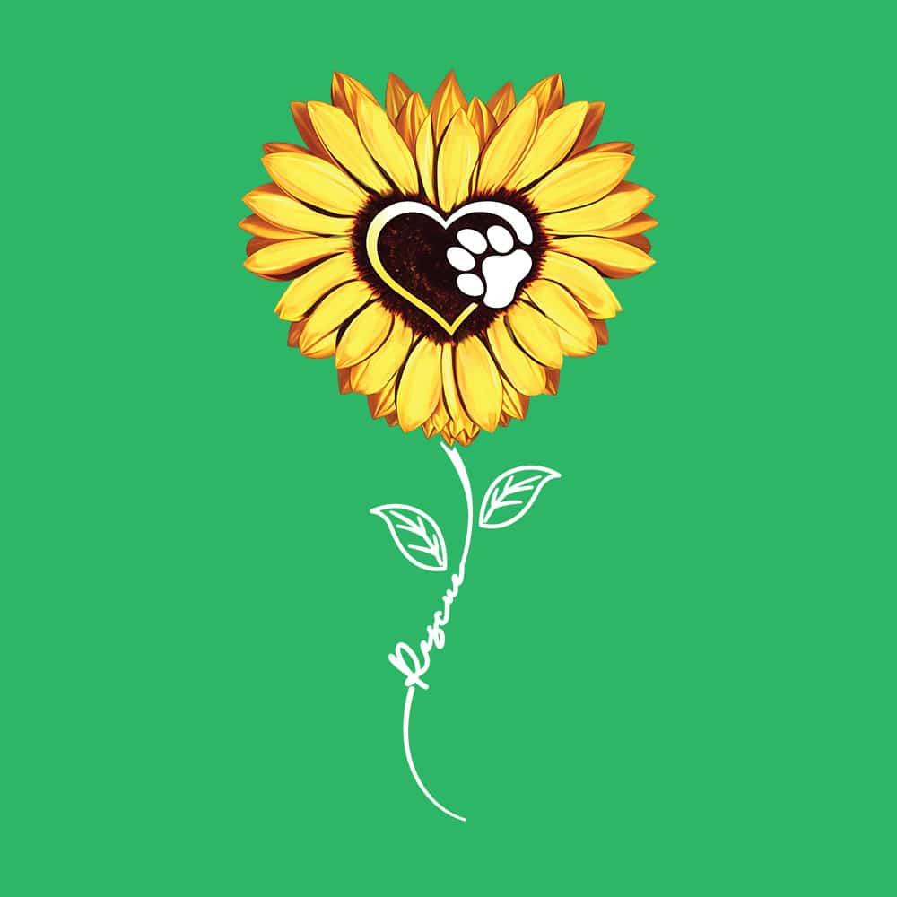 Secondary Product Image