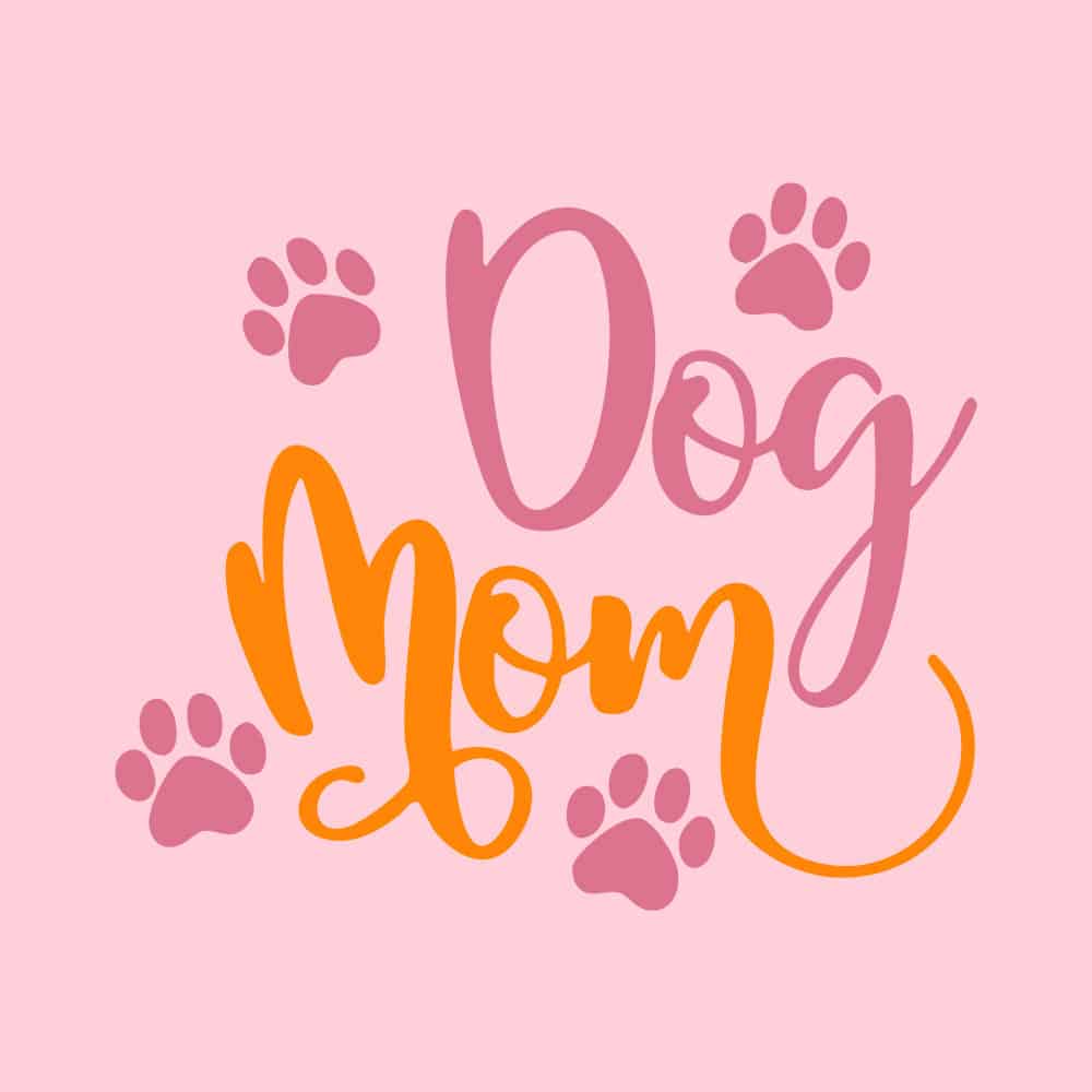 Secondary Product Image