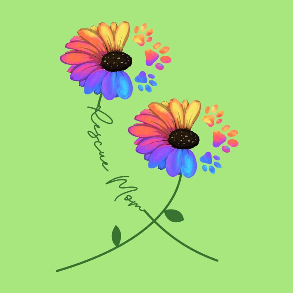 Secondary Product Image