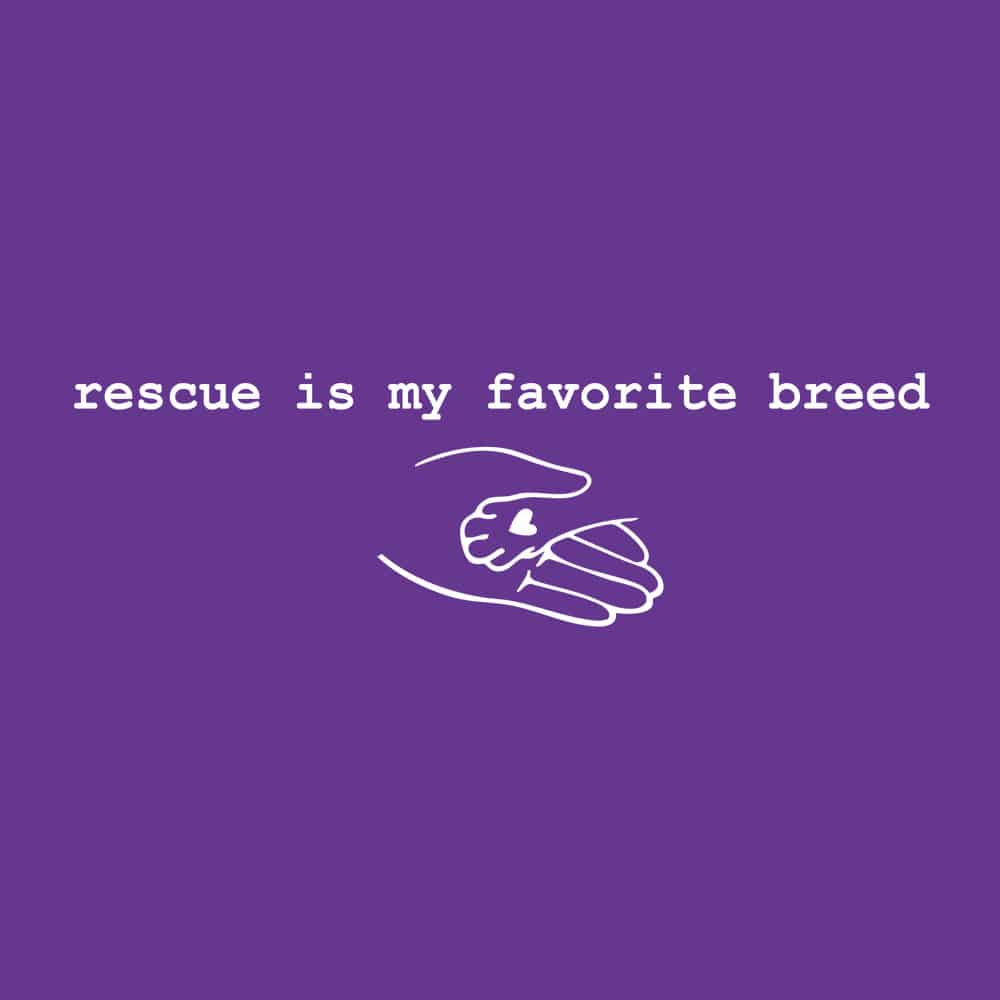 Rescue Is My Favorite Breed Standard Tee Purple - Image 2