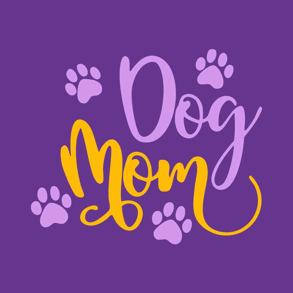 Secondary Product Image