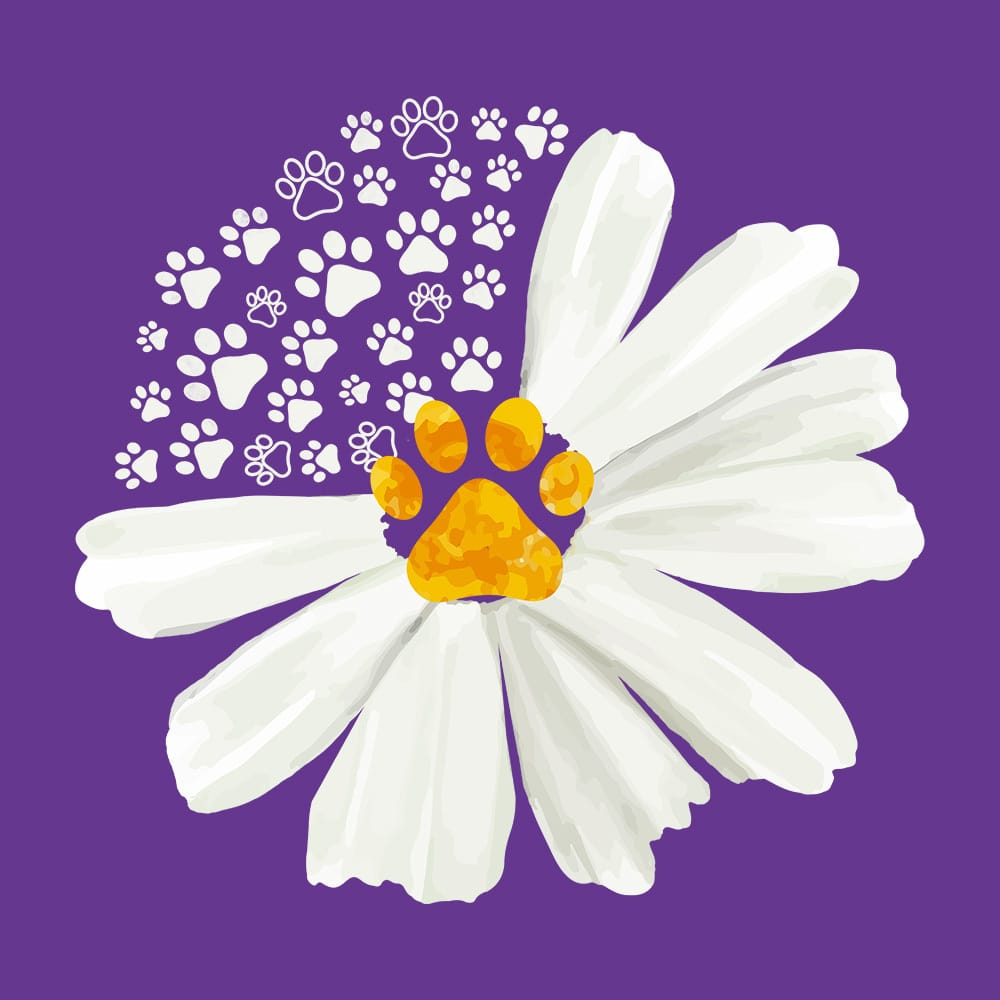 Secondary Product Image