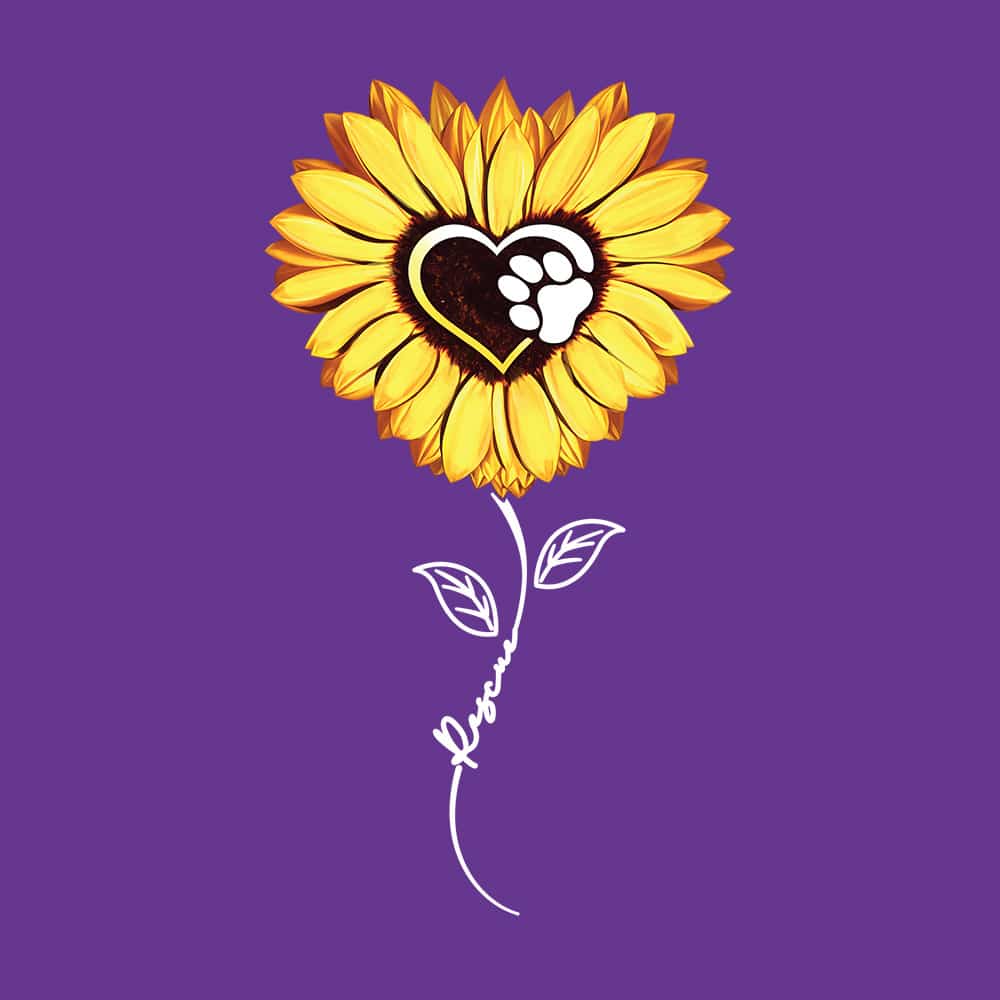 Secondary Product Image