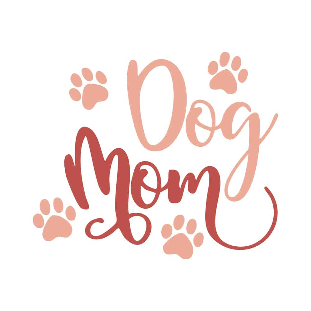 Secondary Product Image