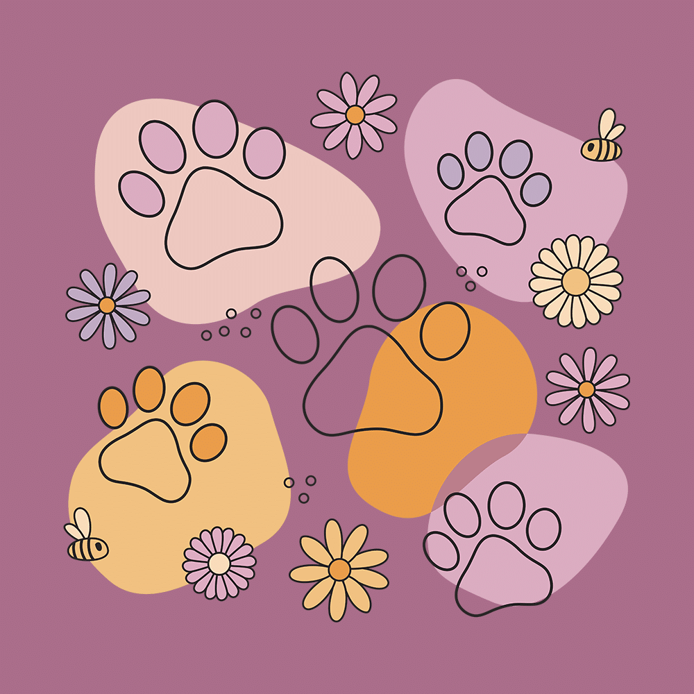 Secondary Product Image