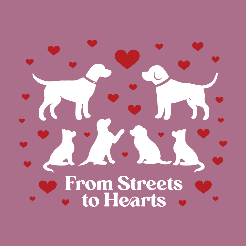 Secondary Product Image