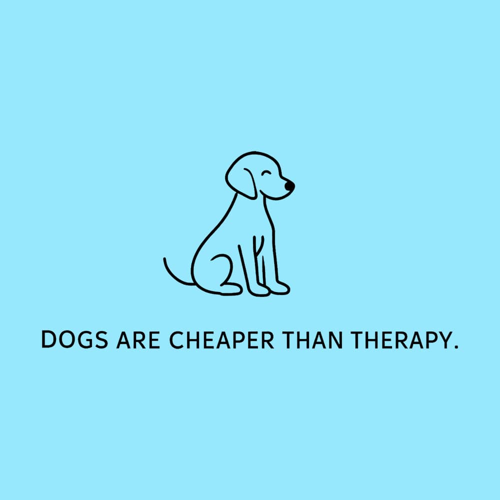 Secondary Product Image