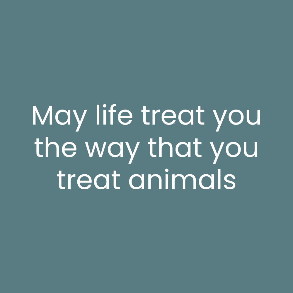 Secondary Product Image